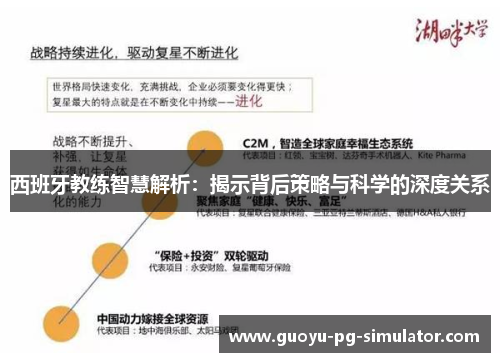 西班牙教练智慧解析：揭示背后策略与科学的深度关系