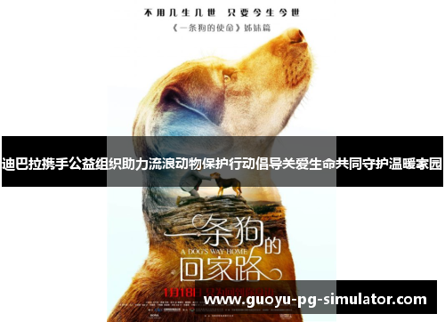 迪巴拉携手公益组织助力流浪动物保护行动倡导关爱生命共同守护温暖家园