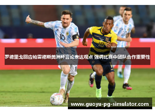 罗德里戈回应帕雷德斯美洲杯言论表达观点 强调比赛中团队合作重要性