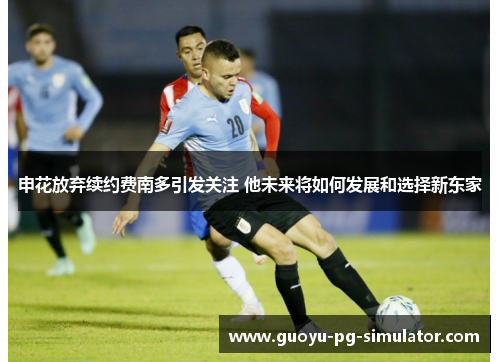 申花放弃续约费南多引发关注 他未来将如何发展和选择新东家